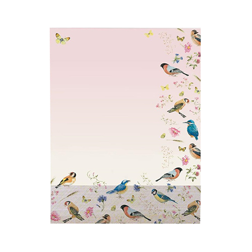 Janneke Brinkman write set 5 BIRDS - Afbeelding 4