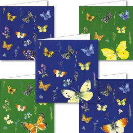 Janneke Brinkman kaartenmapje VLINDERS