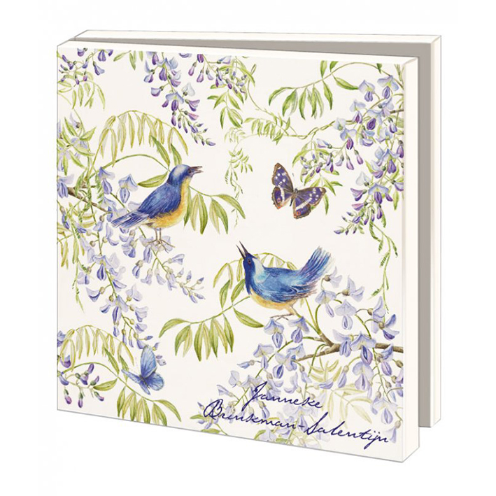 Janneke Brinkman Kaartenmapje VOGELS EN VLINDERS