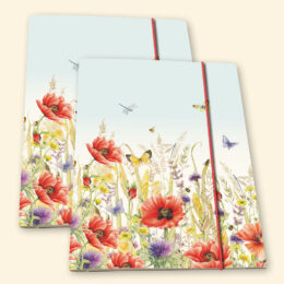 Janneke Brinkman set van 2 dossiermappen KLAPROZEN