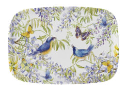 Janneke Brinkman Dienblad VOGELS IN BLAUWEREGEN