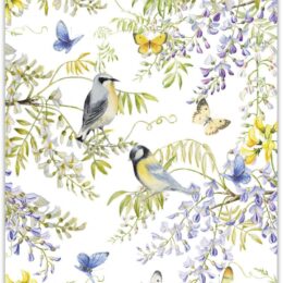 Janneke Brinkman poster VOGELS IN BLAUWE REGEN