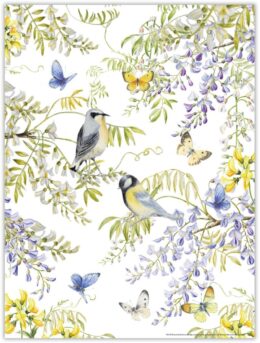 Janneke Brinkman poster VOGELS IN BLAUWE REGEN