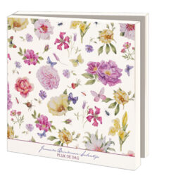 Janneke Brinkman kaartenmapje PLUK DE DAG